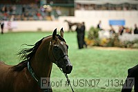 usn07_j13417 proof