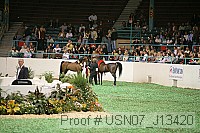 usn07_j13420 proof