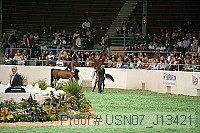 usn07_j13421 proof