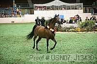 usn07_j13430 proof