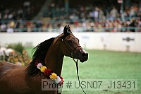 usn07_j13431 proof