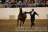 usn07_07530 proof