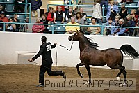 usn07_07532 proof