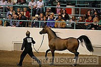 usn07_07533 proof