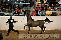 usn07_07534 proof