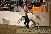 usn07_07536 proof