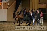 usn07_07538 proof