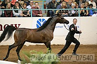 usn07_07540 proof