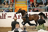 usn07_07543 proof