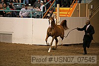 usn07_07545 proof