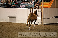 usn07_07546 proof