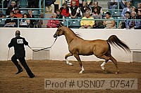 usn07_07547 proof