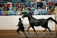 usn07_07549 proof