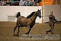 usn07_07550 proof