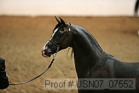 usn07_07552 proof