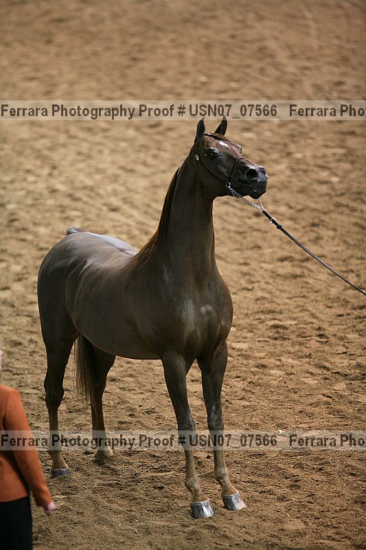 Proof usn07_07566