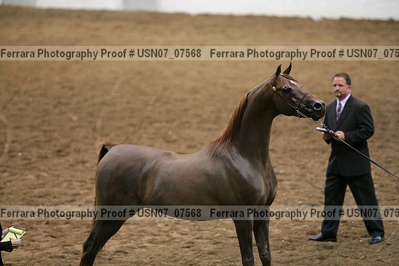 Proof usn07_07568