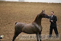 usn07_07568 proof