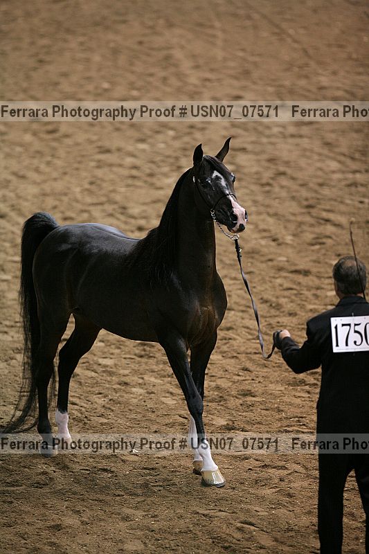 Proof usn07_07571