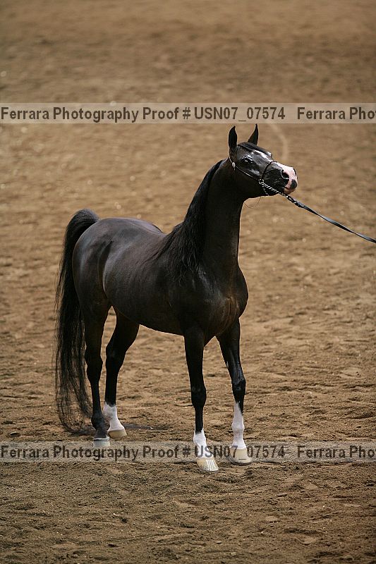 Proof usn07_07574