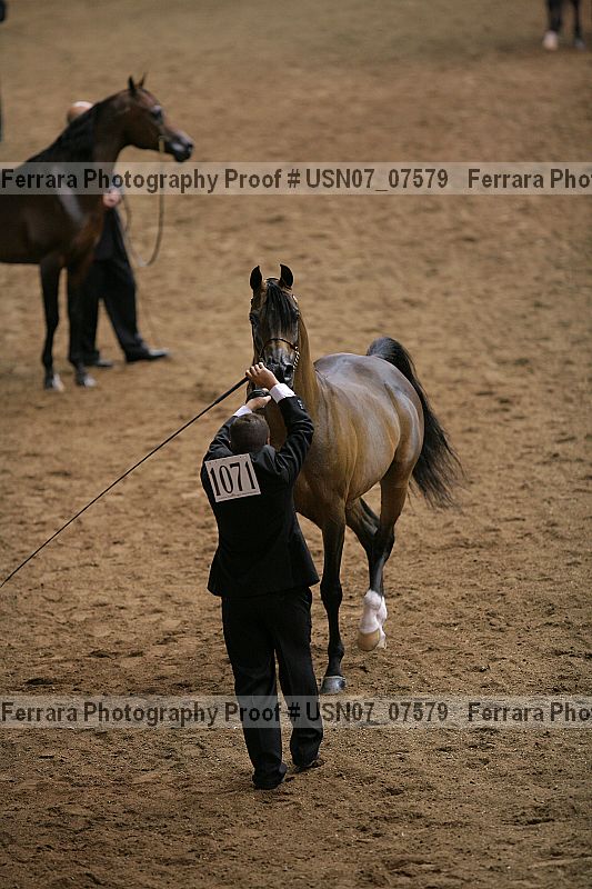 Proof usn07_07579