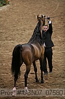 usn07_07580 proof
