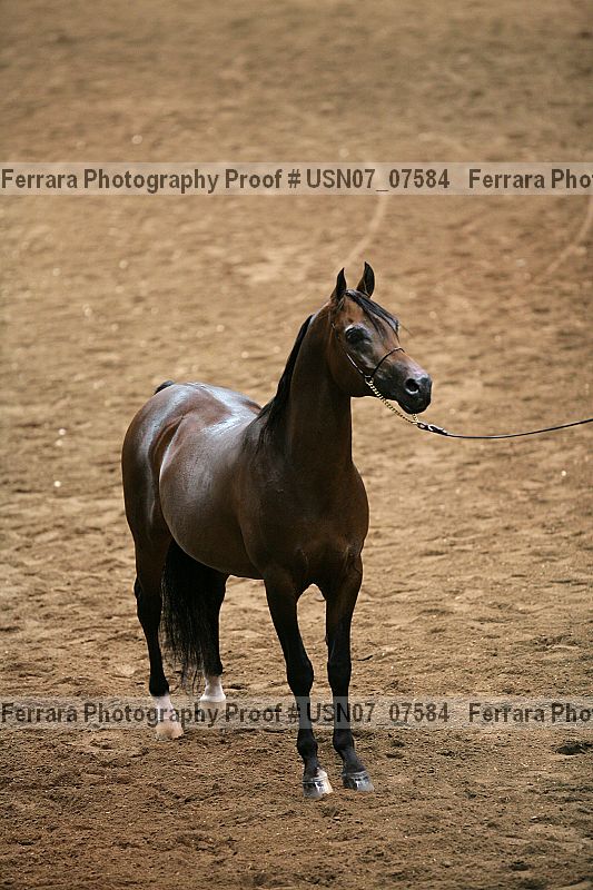 Proof usn07_07584