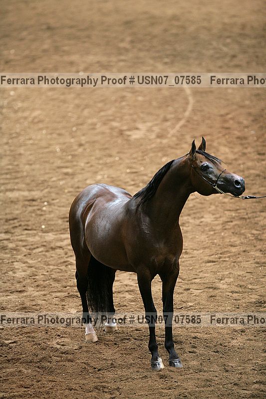 Proof usn07_07585