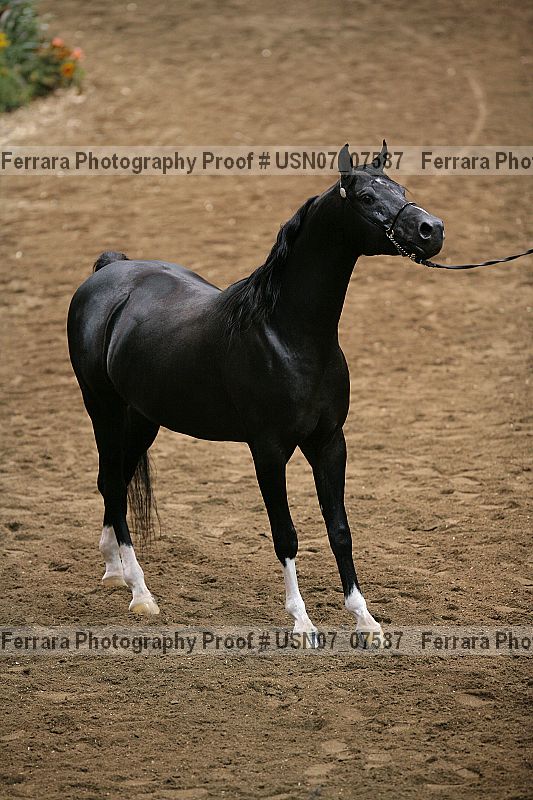 Proof usn07_07587