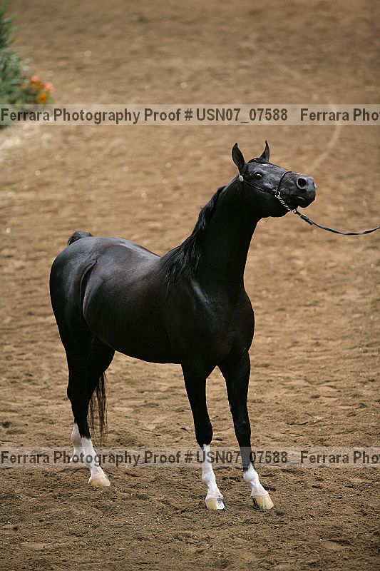 Proof usn07_07588