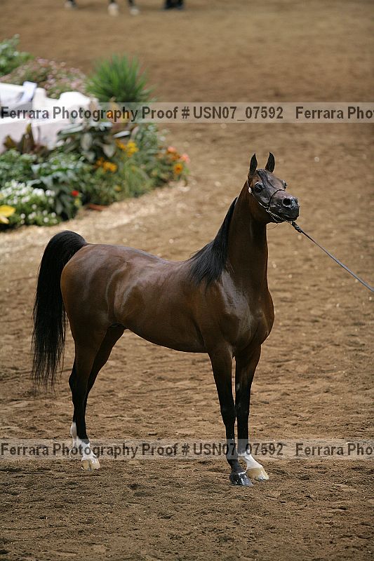 Proof usn07_07592
