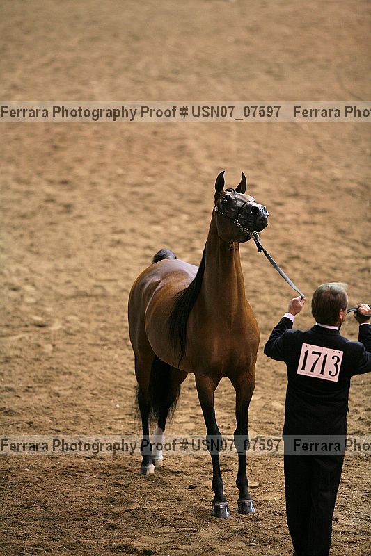 Proof usn07_07597