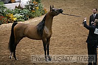 usn07_07599 proof