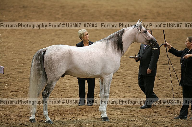 Proof usn07_07604