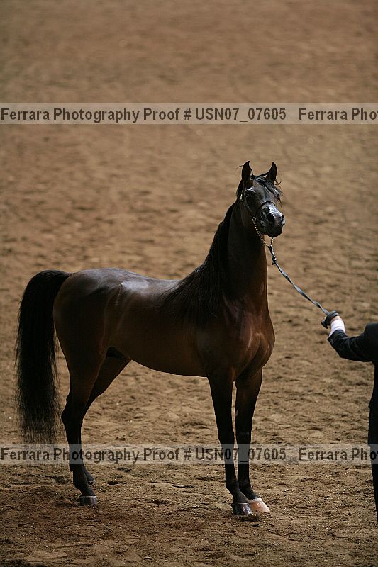 Proof usn07_07605