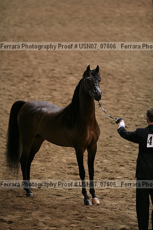 Proof usn07_07606