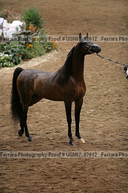 Proof usn07_07612