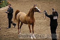 usn07_07624 proof