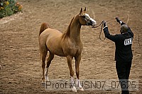 usn07_07625 proof