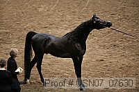 usn07_07630 proof