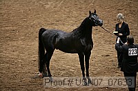 usn07_07633 proof