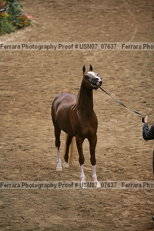 Proof usn07_07637