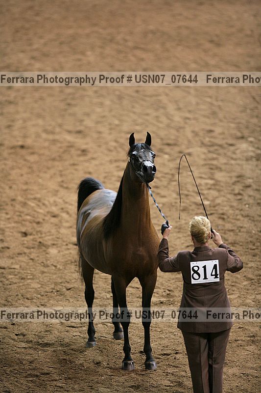 Proof usn07_07644