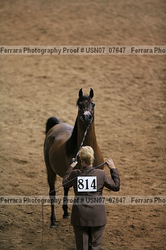Proof usn07_07647