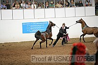 usn07_07666 proof