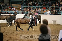 usn07_07668 proof