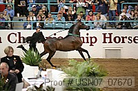 usn07_07670 proof