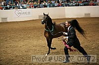 usn07_07672 proof