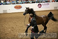 usn07_07673 proof