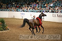 usn07_07687 proof